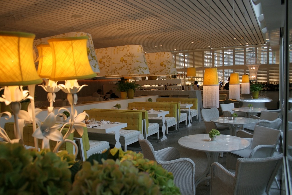 常春藤，悉尼，新南威爾士，澳大利亞